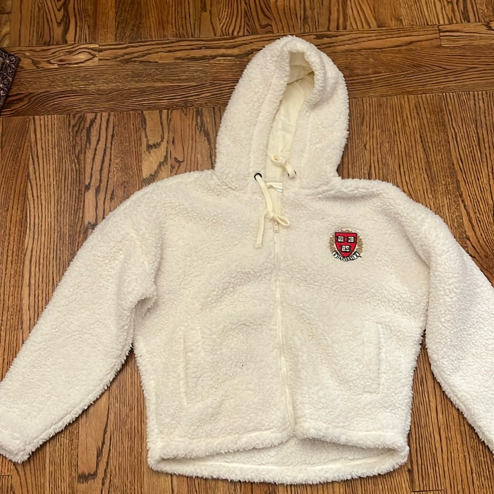 Harvard hooded sweater